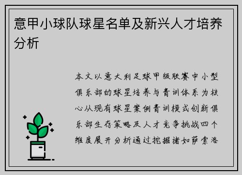 意甲小球队球星名单及新兴人才培养分析
