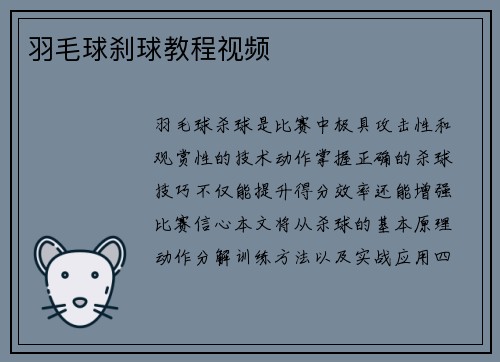 羽毛球刹球教程视频