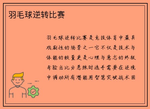 羽毛球逆转比赛