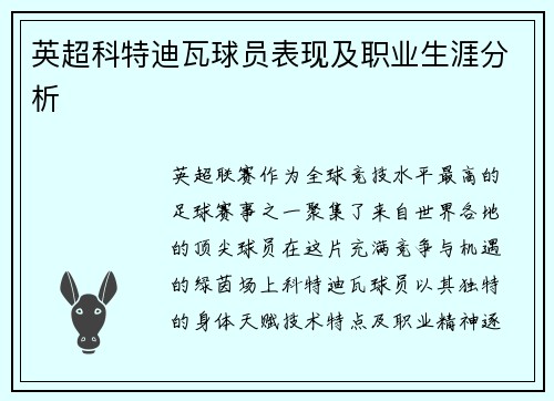 英超科特迪瓦球员表现及职业生涯分析